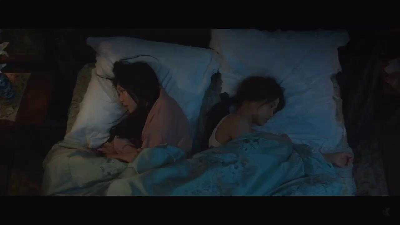 THE HANDMAIDEN (2015) TT4016934