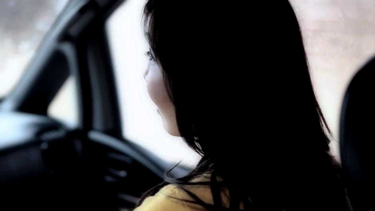 The Last Liaison (2011)